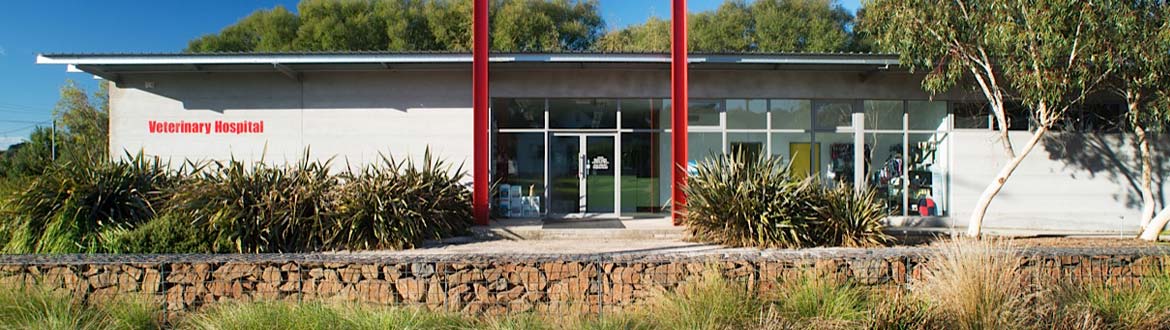 Crookwell Vet Hospital front facade