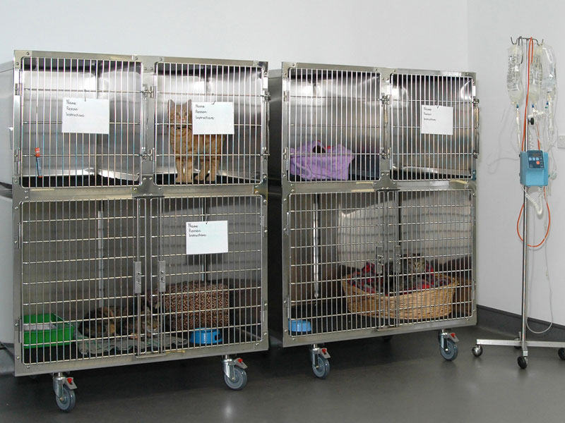 11-cages-treatment-room