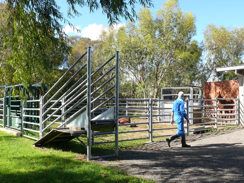 18-horse-and-cattle-yards