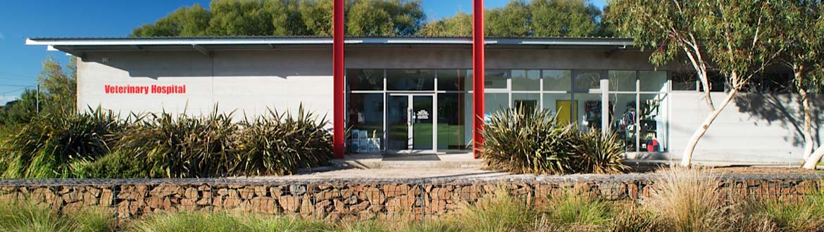 Crookwell-Vet-Hospital-front-facade