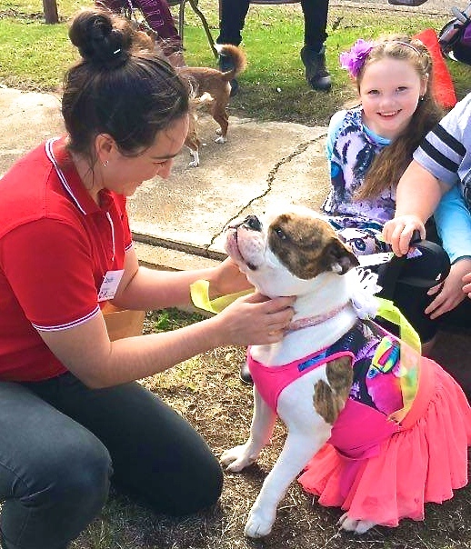 Million Paws Walk